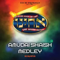 Amudai Shaish Medley - Single by The Shapiro Brothers album reviews, ratings, credits