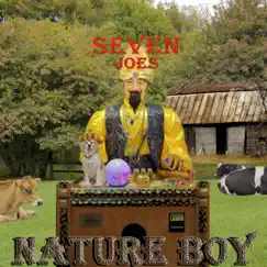 Nature Boy (feat. Joe W Cannizzaro) by Seven Joes album reviews, ratings, credits