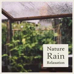 Relaxing Rain Song Lyrics