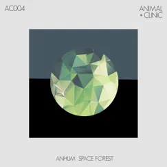 Space Forest - Single by Anhum album reviews, ratings, credits