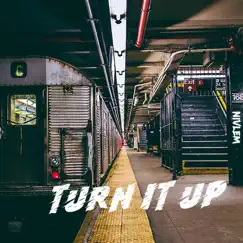 Turn It Up - Single by Nivlem album reviews, ratings, credits