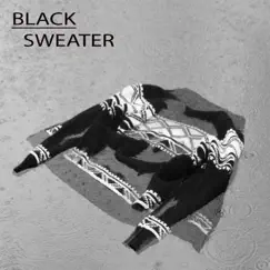 You're Too Late - Single by Black Sweater album reviews, ratings, credits