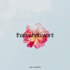 THATS WHAT I WANT (Acoustic) Song Lyrics