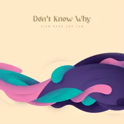 Don't Know Why - Single by Slam Band and Sam album reviews, ratings, credits