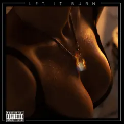 Let It Burn - Single by OLLIE album reviews, ratings, credits
