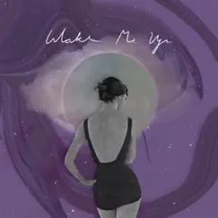 Wake Me Up - Single by Shira album reviews, ratings, credits