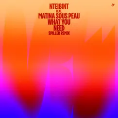 What You Need (feat. Matina Sous Peau) - Single by NTEIBINT & Spiller album reviews, ratings, credits