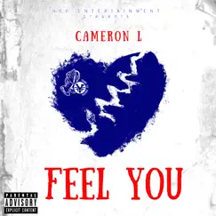 Feel You (feat. Bandz Cambando) Song Lyrics