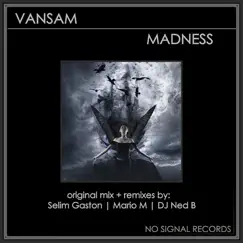 Madness (Selim Gaston Remix) Song Lyrics