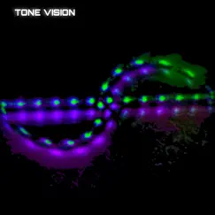 In the End - Single by Tone Vision album reviews, ratings, credits