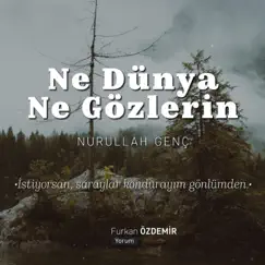 Ne Dünya Ne Gözlerin Song Lyrics