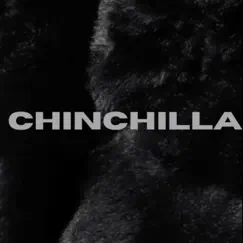 Chinchilla (feat. illy - Ace) Song Lyrics