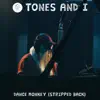 Dance Monkey (Stripped Back) - Single album lyrics, reviews, download