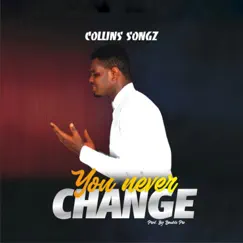 You Never Change - Single by Collins Songz album reviews, ratings, credits