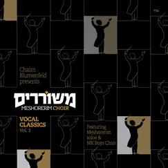 Shavti L'yerushalayim Song Lyrics