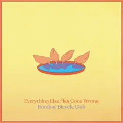 Everything Else Has Gone Wrong by Bombay Bicycle Club album reviews, ratings, credits