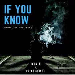 If You Know (feat. Don Baba) - Single by Great Grinzo album reviews, ratings, credits