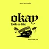 Okay - Single album lyrics, reviews, download