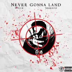 Never Gonna Land - Single by 12xce album reviews, ratings, credits