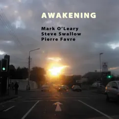 Awakening by Mark O'Leary, Steve Swallow & Pierre Favre album reviews, ratings, credits