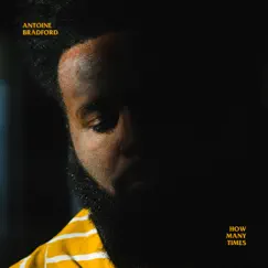 How Many Times - Single by Antoine Bradford album reviews, ratings, credits