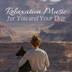 Relaxation Music for You and Your Dog - Zen Pet Relaxing Songs Collection, Pet Therapy by Doctor Ciano Stress & Music for Pets Specialists album reviews, ratings, credits