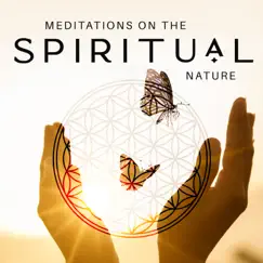 Meditations on the Spiritual Nature by Serena Beatty & Criss Howell album reviews, ratings, credits