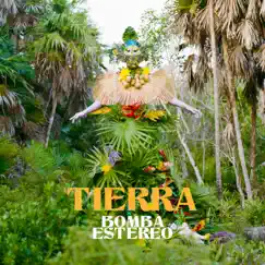 Tierra - Single by Bomba Estéreo album reviews, ratings, credits