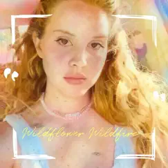 Wildflower Wildfire - Single by Lana Del Rey album reviews, ratings, credits