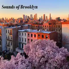 Sounds of Brooklyn Vol. 1 - EP by Sounds From Outside & Recording The World album reviews, ratings, credits