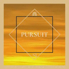 Pursuit - Single by Seehra Brothers album reviews, ratings, credits