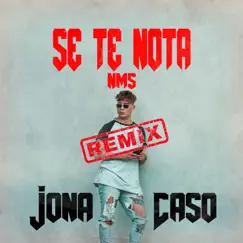 Se Te Nota (Remix) Song Lyrics