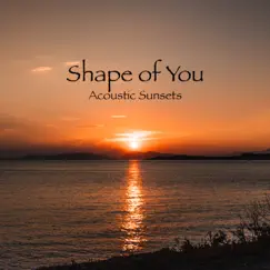 Shape of You - Single by Acoustic Sunsets album reviews, ratings, credits