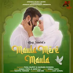 Maula Mere Maula - Single by Javed Ali & Sonali Chandratre Patel album reviews, ratings, credits