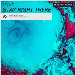 Stay Right There - Single by DNVX album reviews, ratings, credits