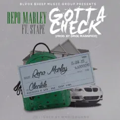 Gotta Check (feat. Stape) Song Lyrics