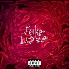 Fake Love Song Lyrics