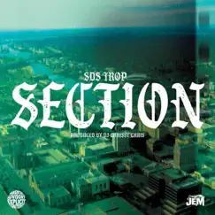 Section - Single by SDS TROP album reviews, ratings, credits