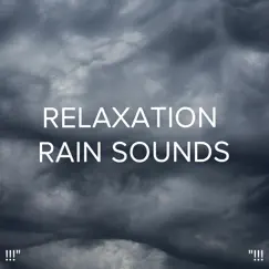 Relaxing Rainstorm Song Lyrics