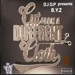 Cut From a Different Cloth (feat. DJ OP) - Single by Byz album reviews, ratings, credits