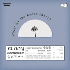 Supertubos - Single by BLOOM album reviews, ratings, credits