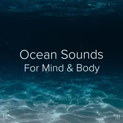 Ocean Sounds Storm Song Lyrics