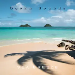 Peaceful Beach Song Lyrics
