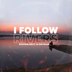 I Follow Rivers Song Lyrics