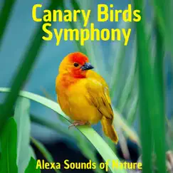Canary Birds Symphony - Single by Alexa Sounds of Nature & Sounds Of Birds And Animals album reviews, ratings, credits