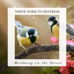 Birdsong in the Forest: White Noise to Destress by Carl Brooks album reviews, ratings, credits