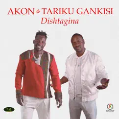Dishtagina - Single by Akon & Tariku Gankisi album reviews, ratings, credits