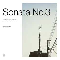 Sonata No.3 for Contrabass Solo 3. Andantino Song Lyrics