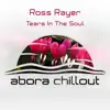 Tears in the Soul - Single album lyrics, reviews, download