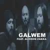 Tributes (Cover) [feat. Alisson Zakka] - Single album lyrics, reviews, download